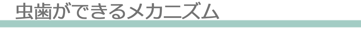 虫歯のメカニズム